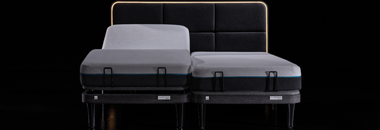 ErgoSportive Split King Bed